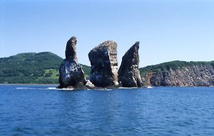 (�ʐ^5: �Z���)